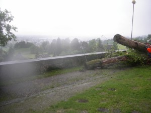 Lindentransport 23.05.05 037  